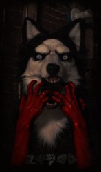Smile Dog