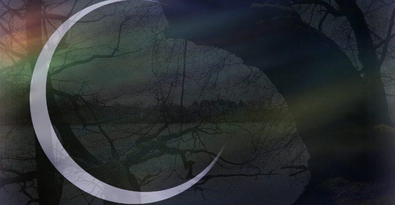Lichtscheu-Lyrik